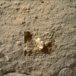 Marsą tiriantis robotas „Curiosity“ nufotografavo gėlę