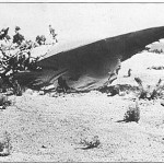 Spalvinga istorija – Kalahario dykumos NSO