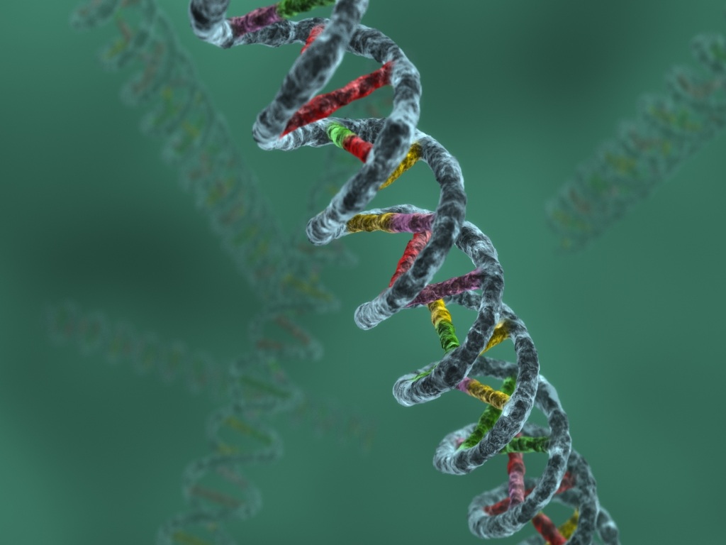 Žmogaus DNR turi slaptą kodą