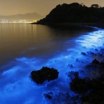 Švytintis vanduo Honkongo pajūryje