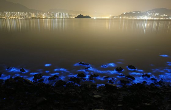 Švytintis vanduo Honkongo pajūryje 2